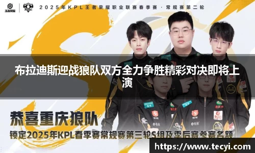 zoty中欧